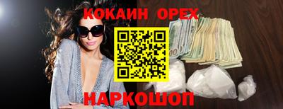 молекула духа Кингисепп