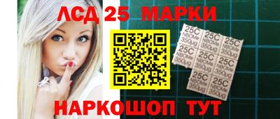 молекула духа Кингисепп