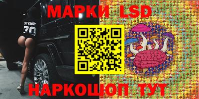 молекула духа Кингисепп