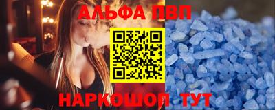 молекула духа Кингисепп