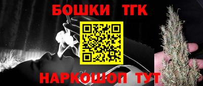 молекула духа Кингисепп