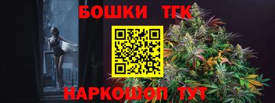 молекула духа Кингисепп