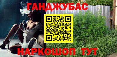 молекула духа Кингисепп