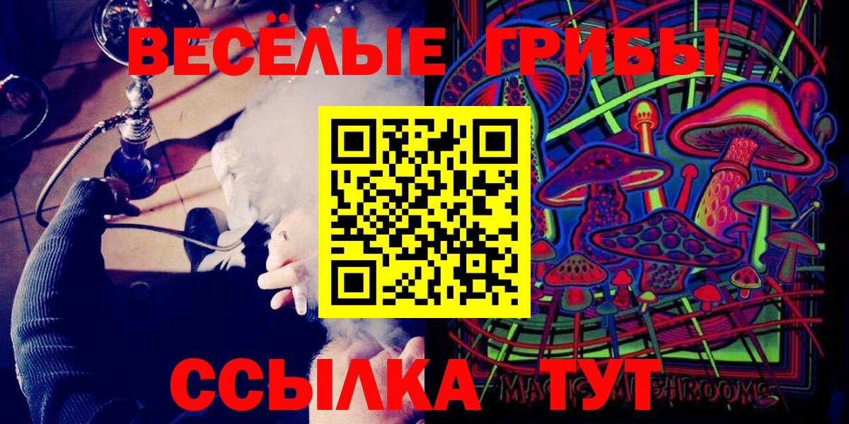 Галлюциногенные грибы Cubensis  где купить наркотик  Вход с VPN  Коркино  Галлюциногенные грибы Cubensis 